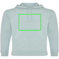 Iqoniq Jasper Hoodie aus recycelter Baumwolle Farbe: Iceberg green